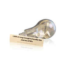 Load image into Gallery viewer, Affirmation Lytbulbs